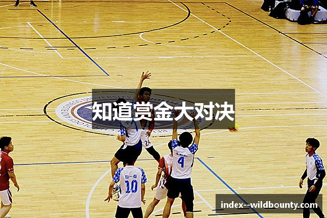 知道赏金大对决